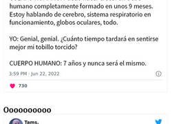 Enlace a Divertidos tuits que resumen a la perfección la experiencia humana