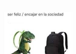 Enlace a Escoge sabiamente