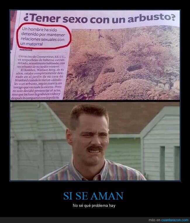 arbusto,matorral,relaciones