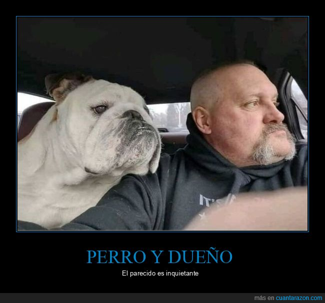 perro,dueño,parecidos