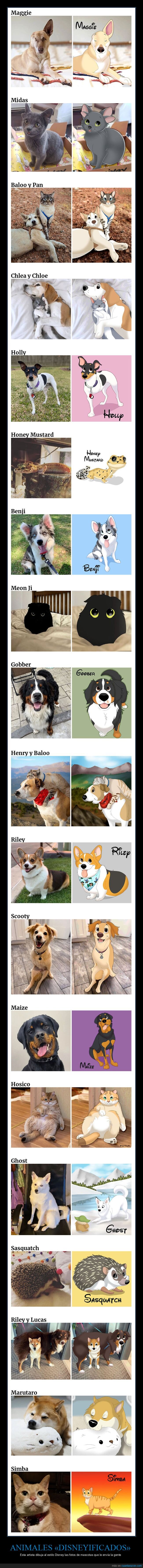 animales,disney,dibujos