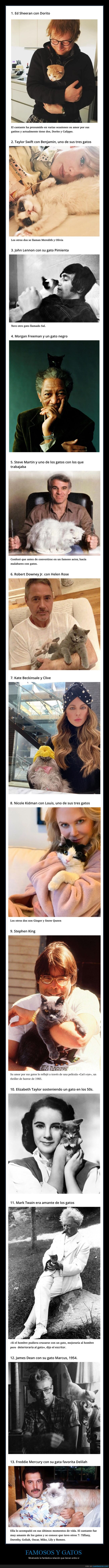 famosos,gatos