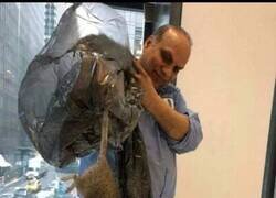 Enlace a Rata tamaño XXL