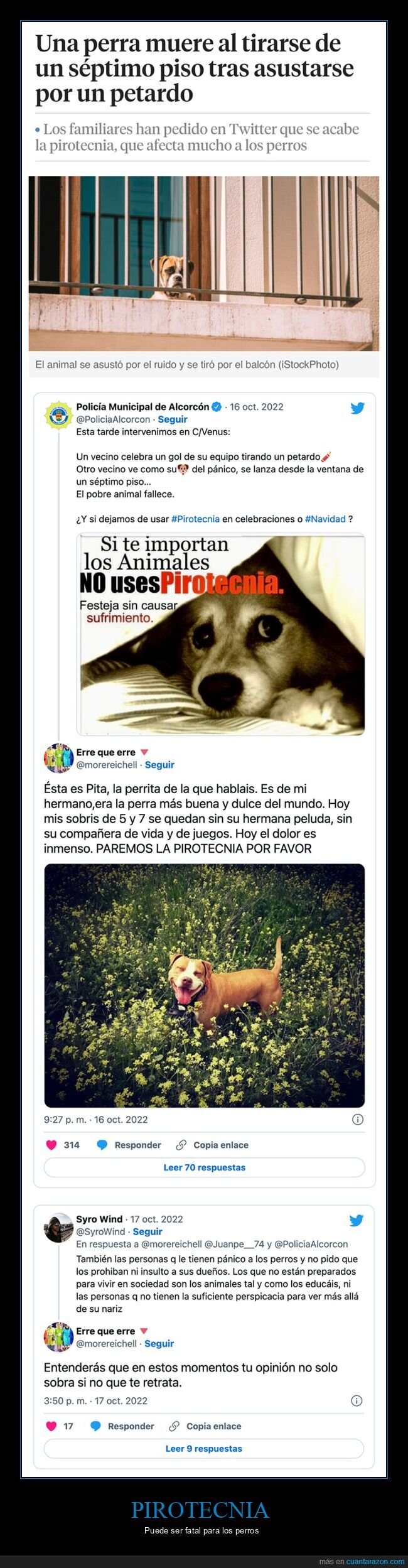 morir,perros,petardos