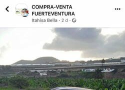 Enlace a Casi como nuevo