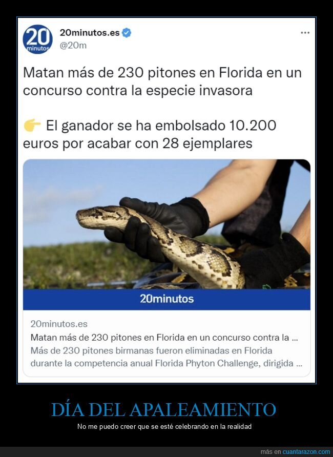 día del apaleamiento,pitones,florida,serpientes