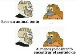 Enlace a ¿Quién es el tonto?
