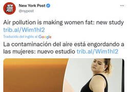 Enlace a La culpa es de la contaminación