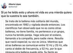 Enlace a Acompáñenme a conocer esta triste historia...