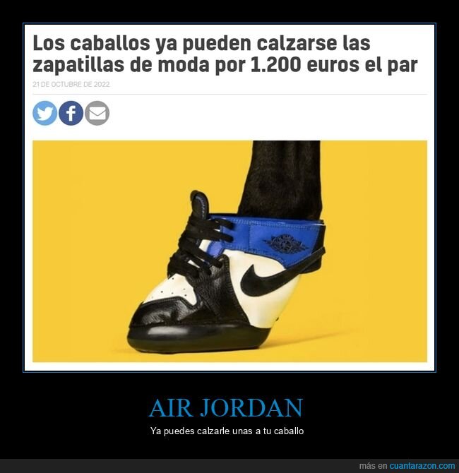 air jordan,caballo,zapatillas