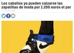 Enlace a Tan útiles como asequibles