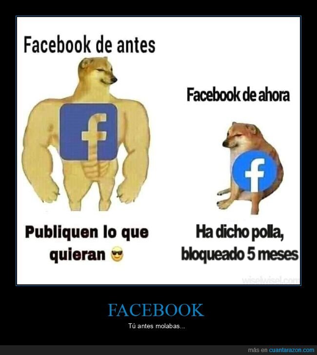 ahora,antes,bloquear,doge y cheems,facebook