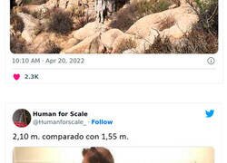 Enlace a Cosas gigantescas que sorprenden por su tamaño