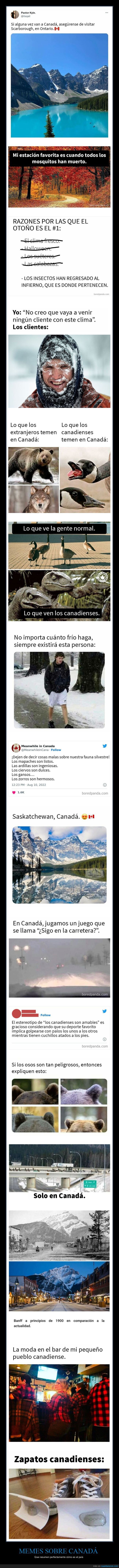 canadá,memes