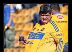Enlace a No es lo que parece