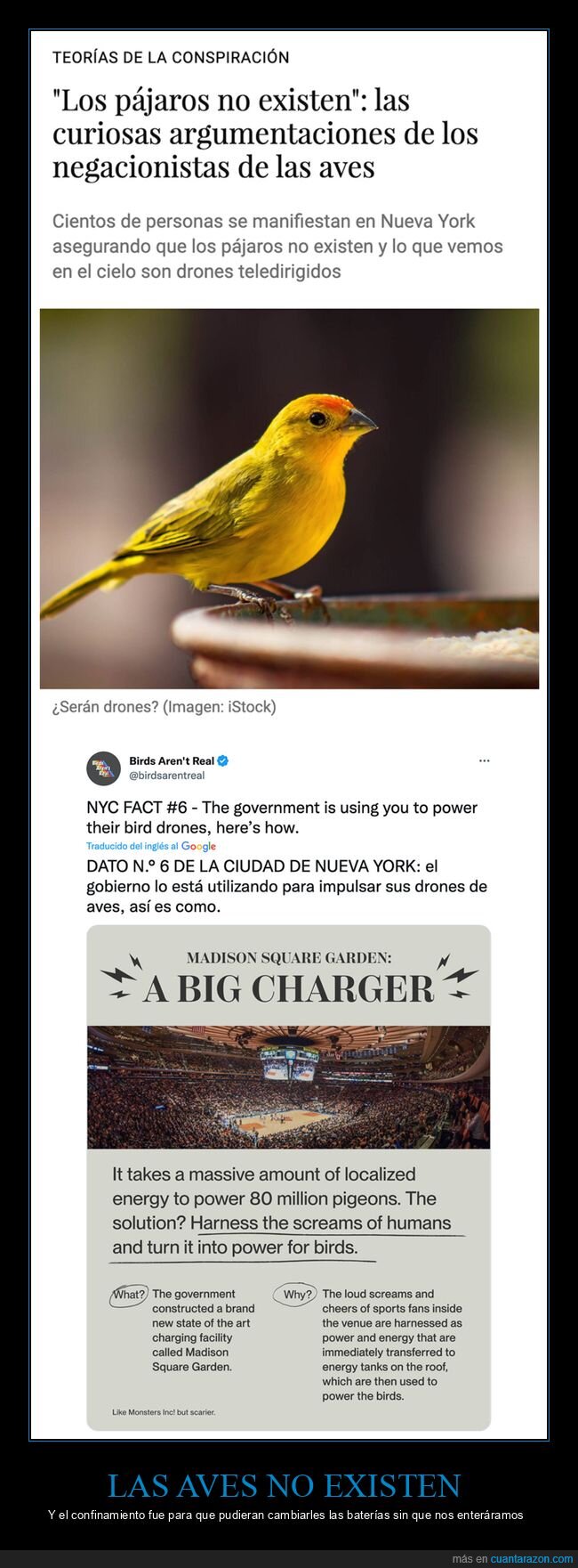 conspiranoicos,negacionistas,pájaros