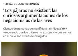 Enlace a Los pájaros son fake