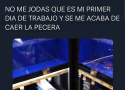 Enlace a Era su primerito día