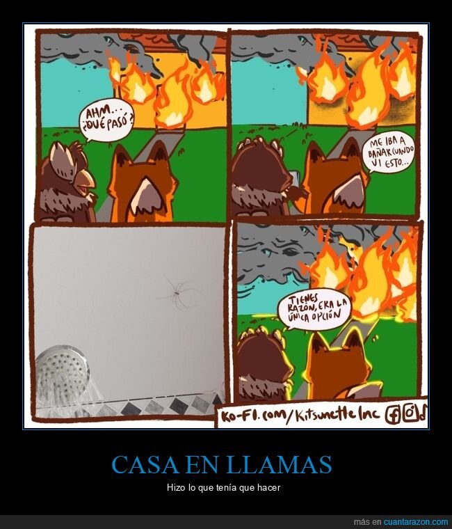 incendio,casa,araña,ducha