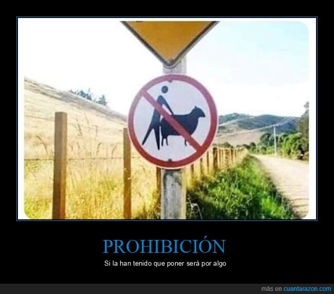 se&ntilde;al,oveja,wtf