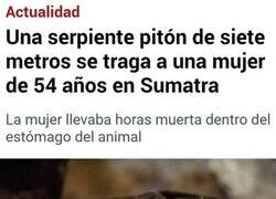 Enlace a Trágico suceso