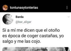 Enlace a Dicho y hecho