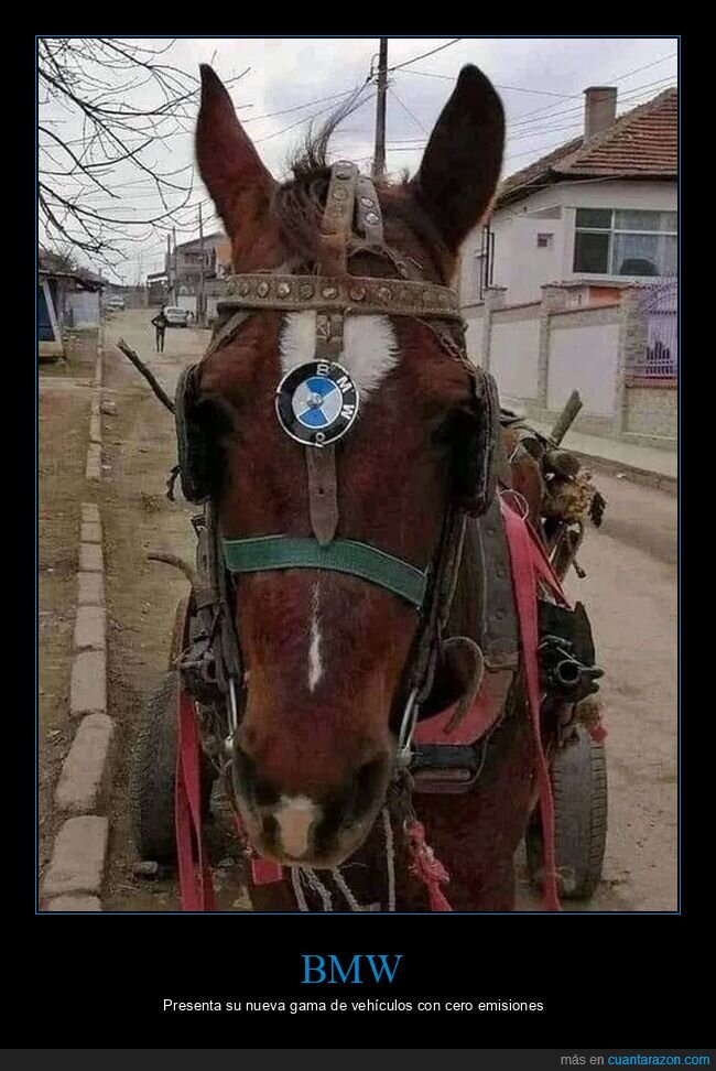 caballo,bmw,logo