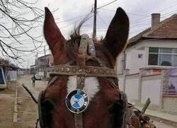 Enlace a Último modelo