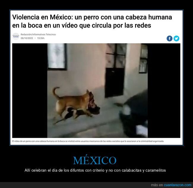 cabeza,méxico,perros,wtf