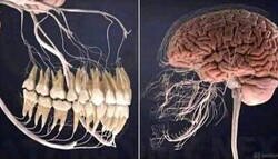 Enlace a Conexión directa