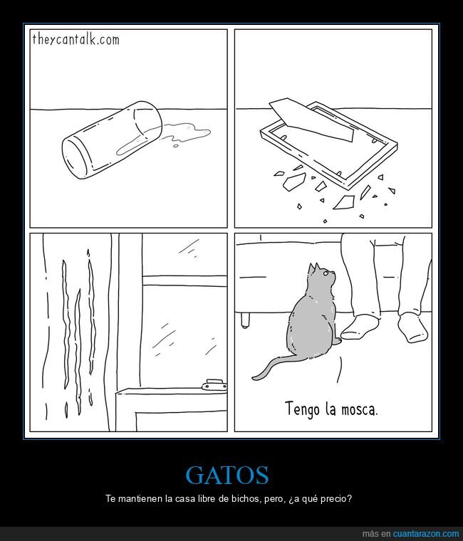 gato,mosca