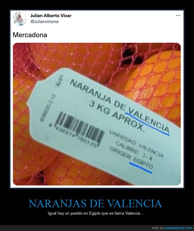 egipto,mercadona,naranjas,valencia