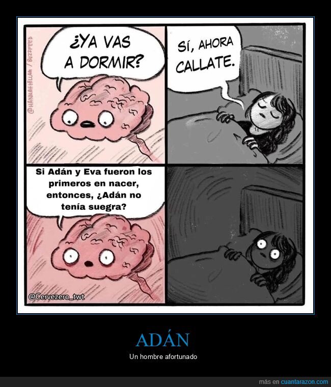 dormir,cerebro,adán,suegra