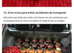 Enlace a Fotos de cosas asombrosas que solo pasan en el campo