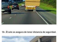 Enlace a Conductores extremos que no le tienen miedo al ridículo o a morir