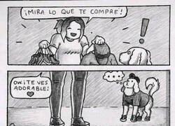 Enlace a Pensamientos caninos