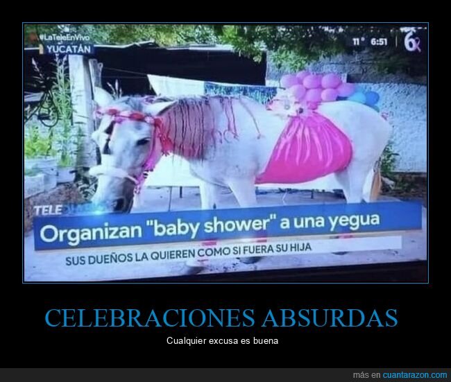 baby shower,wtf,yegua