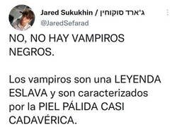 Enlace a ¿Blade es woke?