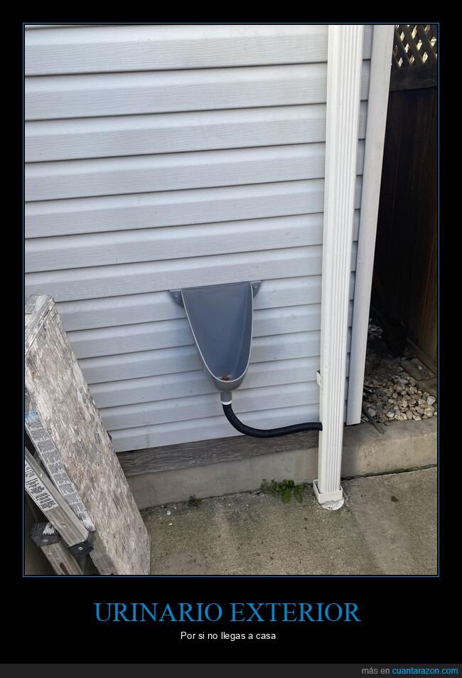 urinario,exterior,casa
