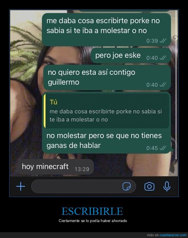 escribir,molestar,minecraft