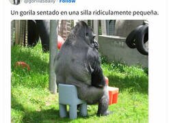 Enlace a Divertidos memes sobre ciencia y naturaleza que te harán reír con su ingenio