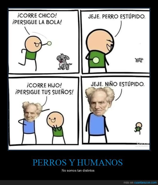 schopenhauer,perro,perseguir,pelota,sueños