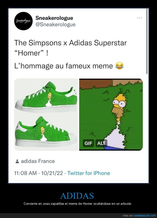 adidas,arbusto,homer,simpsons,zapatillas