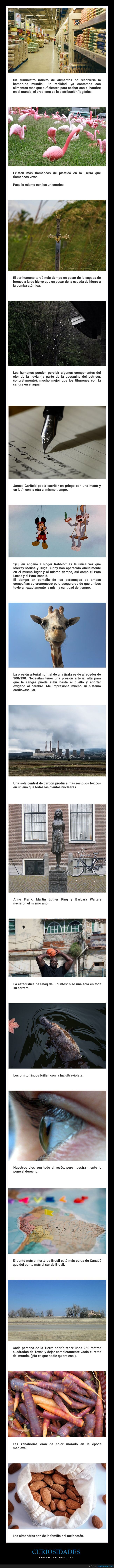 curiosidades,reales