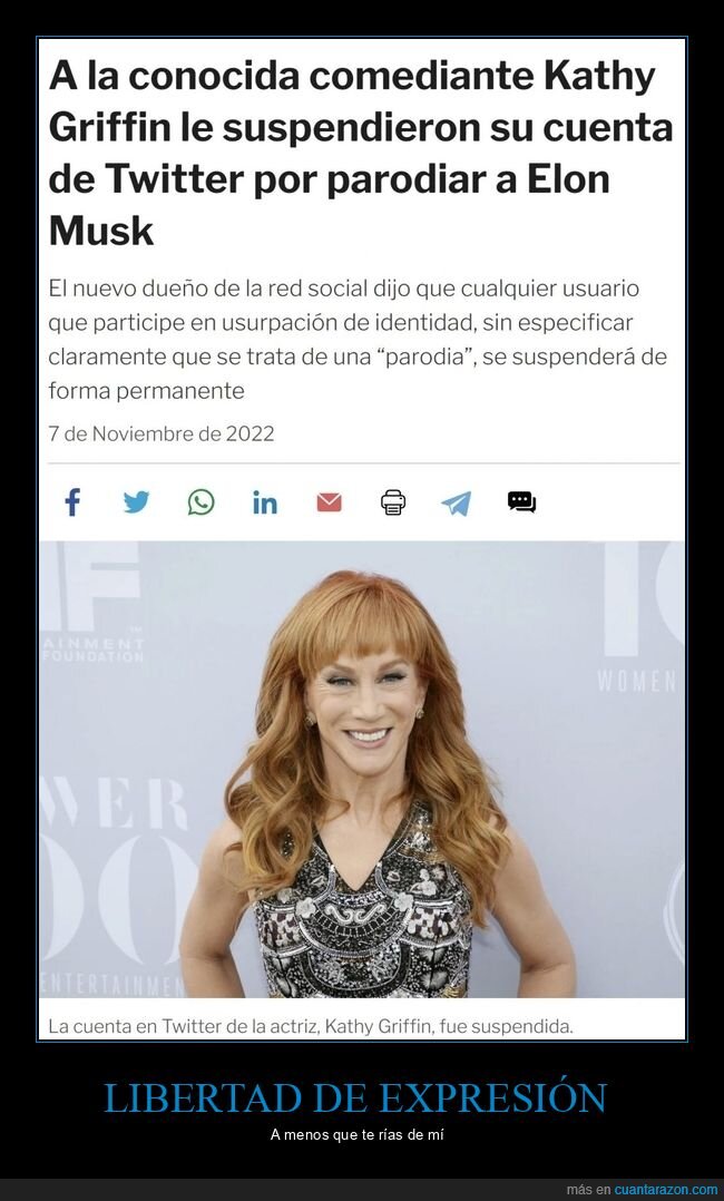 kathy griffin,suspender,twitter,parodiar,elon musk