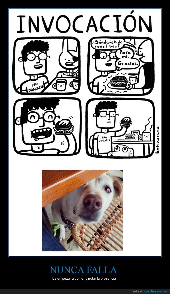 perros,comida,pidiendo