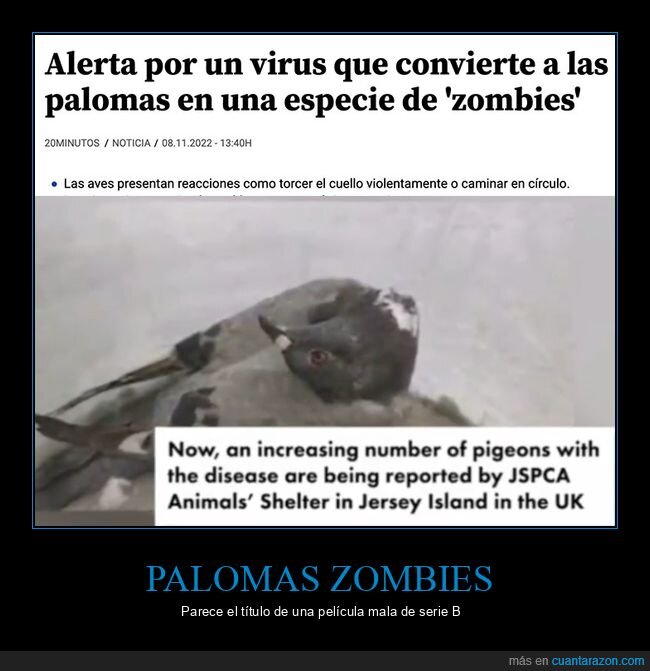 palomas,wtf,zombies