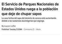 Enlace a Haced el favor...