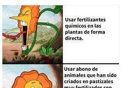 Enlace a Memes de humor negro sobre ecología