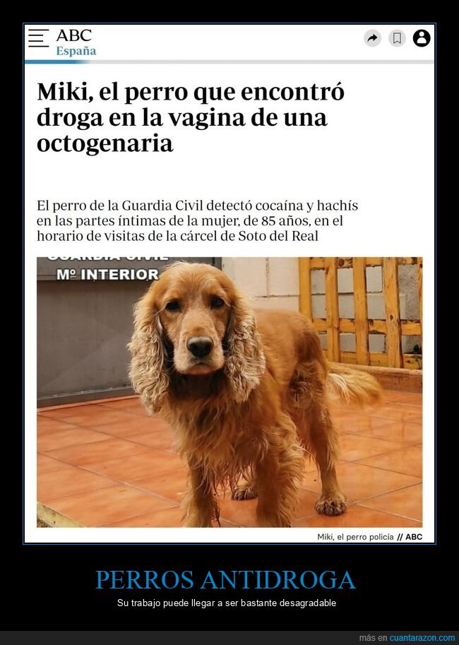 perro,droga,octogenaria